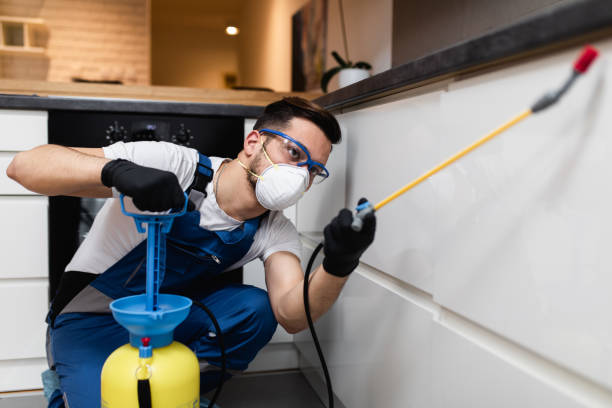 Best Pest Control Near Me  in Elkhorn, CA