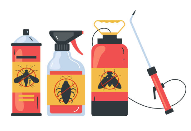 Wasp Removal Services in Elkhorn, CA