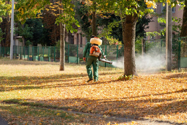 Best Commercial Pest Control Services  in Elkhorn, CA